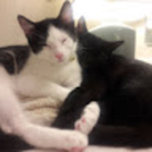 Meet your Posher, Kathy